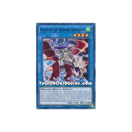 Knight of Armor Dragon (Common)