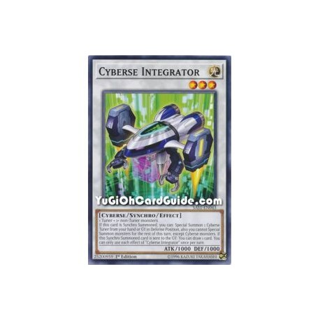 Cyberse Integrator (Common)