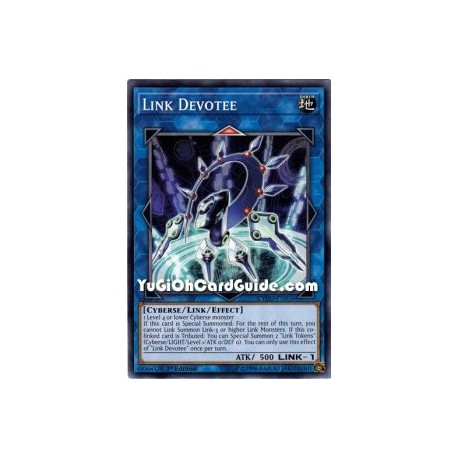 Link Devotee (Common)