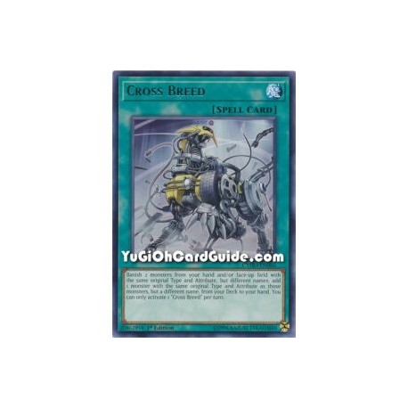 Cross Breed (Rare)