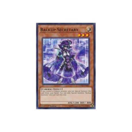 Backup Secretary (Common)