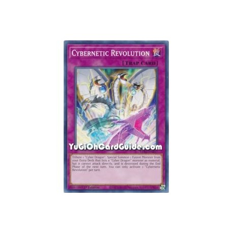 Cybernetic Revolution (Common)