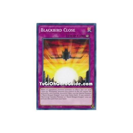 Blackbird Close