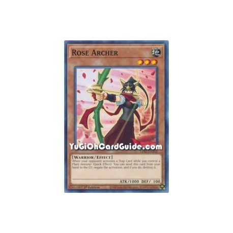 Rose Archer (Common)
