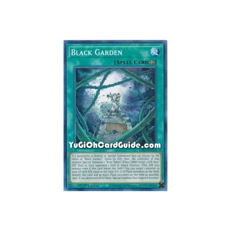 Black Garden (Common)