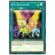Set Rotation (Common)