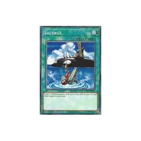 Salvage (Common)