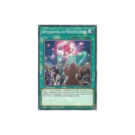 Spellbook of Knowledge (Common)