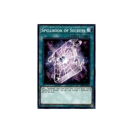 Libro de Magia de los Secretos (Common)