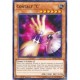"C" Contacto (Common)