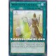 Whitefish Salvage (Rare)