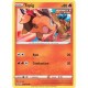 Tepig