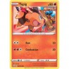 Tepig
