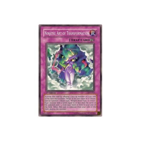 Ninjitsu Art of Transformation (Common)